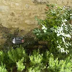Apartment Casa Dell'oliveto 