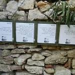 Apartment Casa Dell'oliveto 