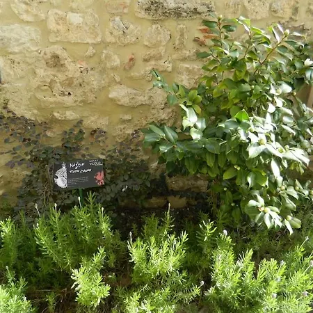 Lejlighed Casa Dell'oliveto 