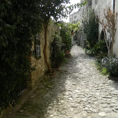 Casa Dell'oliveto 