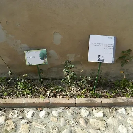 Apartamento Casa Dell'oliveto 