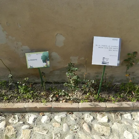 Lejlighed Casa Dell'oliveto 