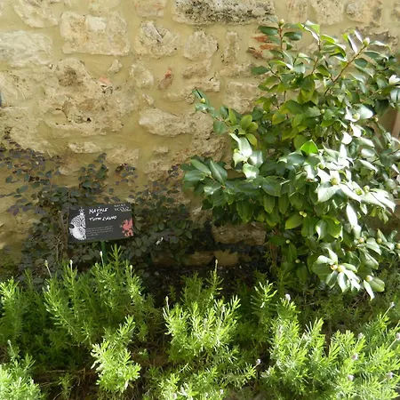 Апартаменты Casa Dell'oliveto 